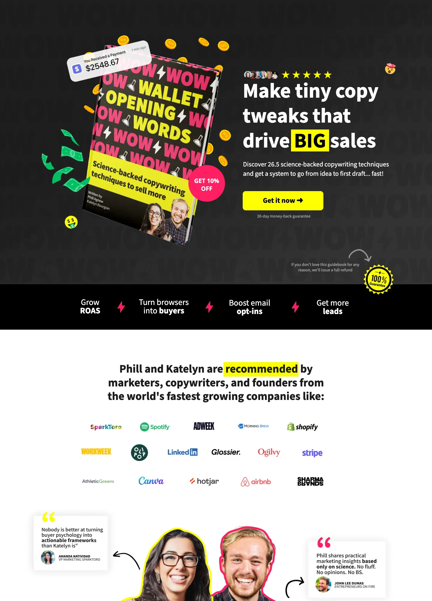 Wallet-Opening Words — Copywriting Course — captured interface