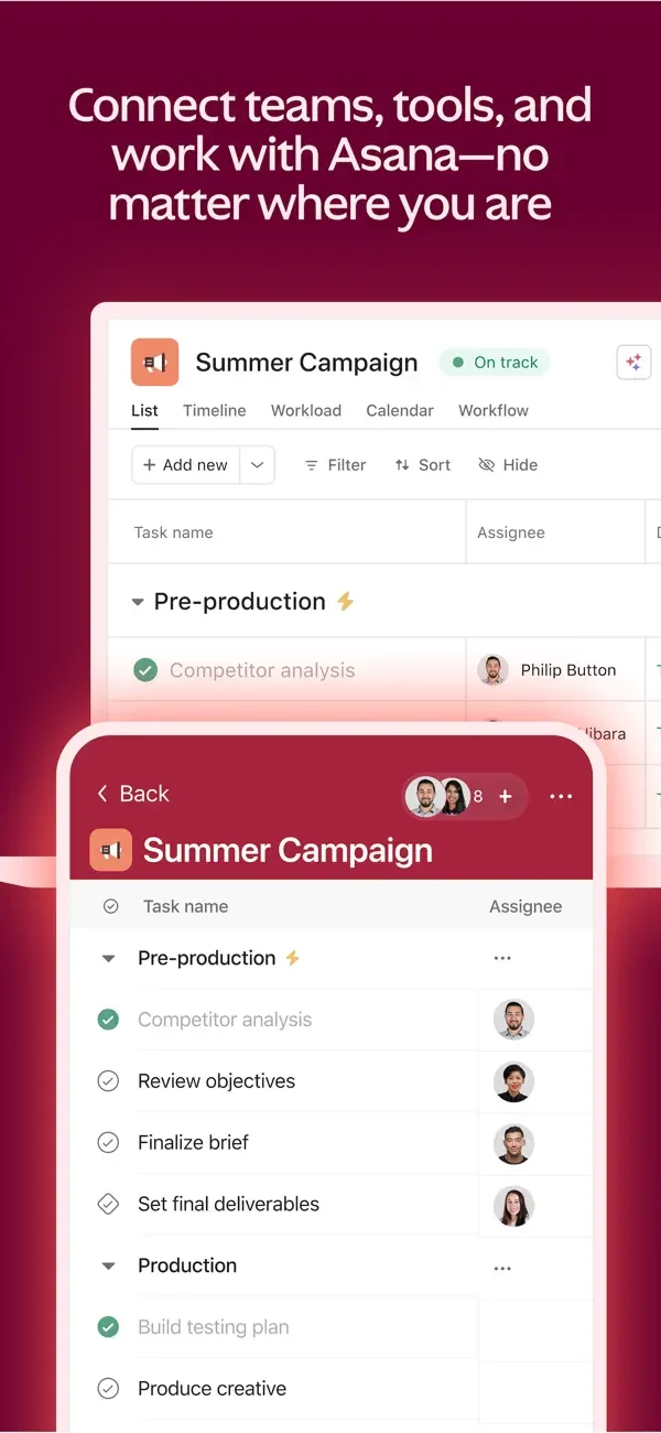 Asana — Project task list