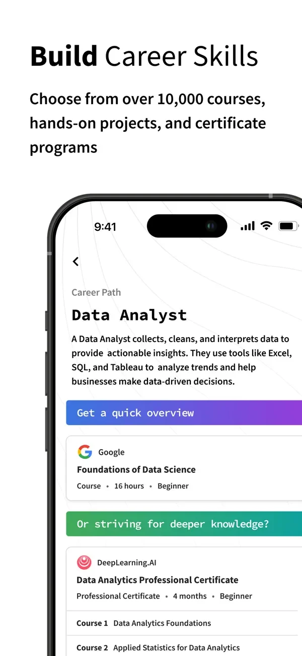 Coursera — Career learning path