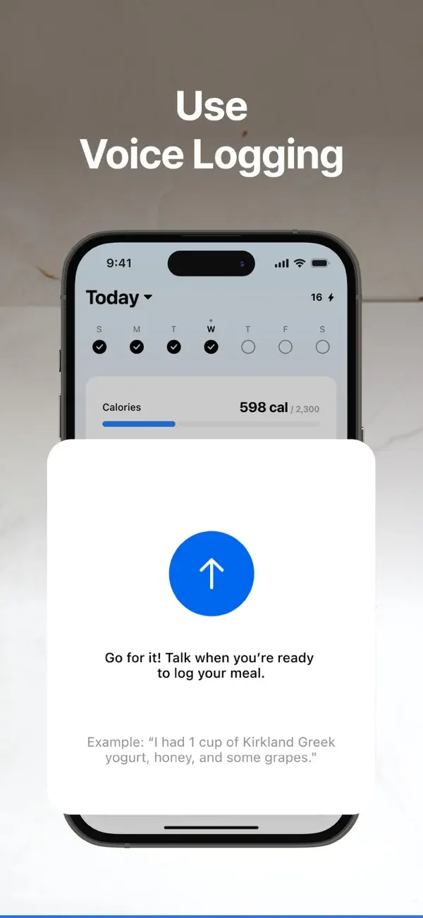 Voice logging