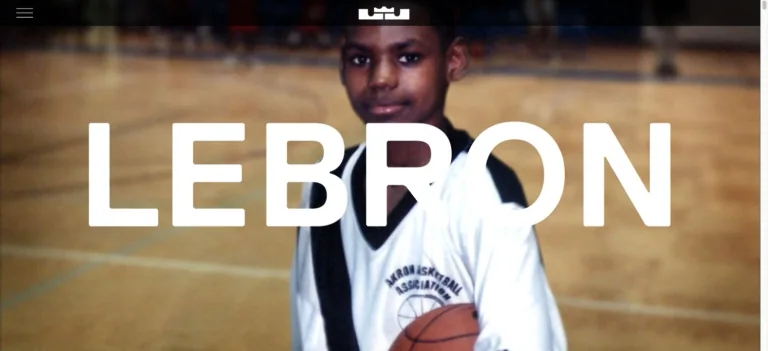 LeBron James preview