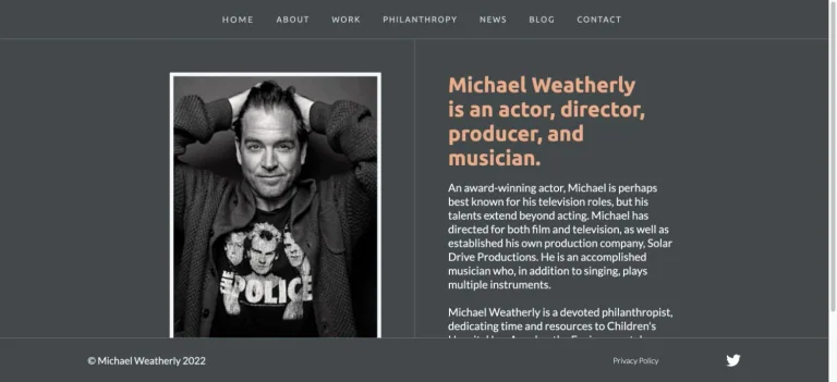 Michael Weatherly — captured design reference