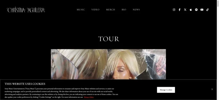 Christina Aguilera preview