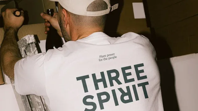 Three Spirit preview