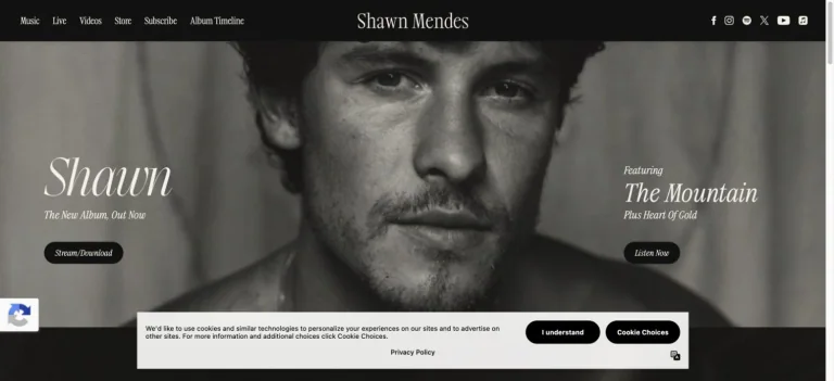 Shawn Mendes preview