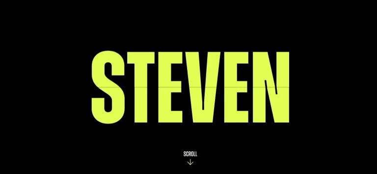 Steven Bartlett preview