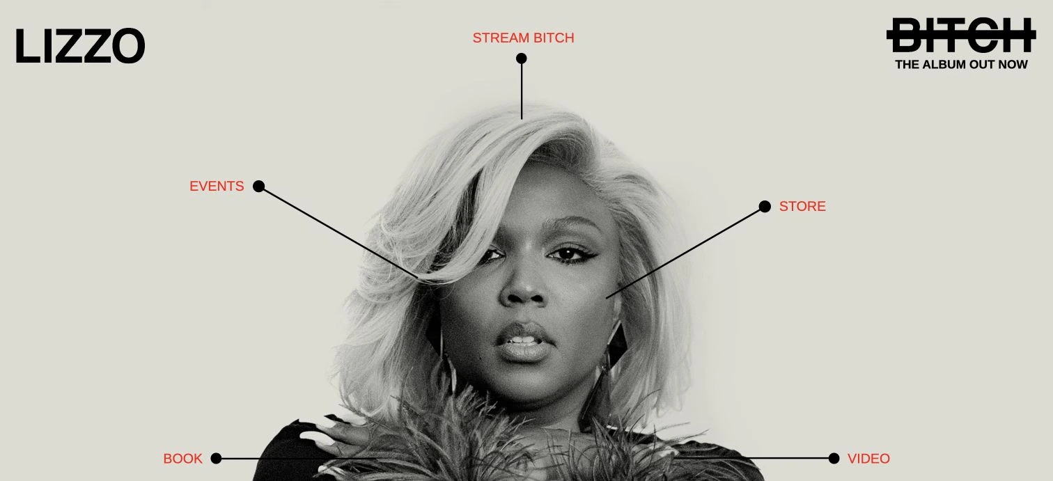 Lizzo — captured interface