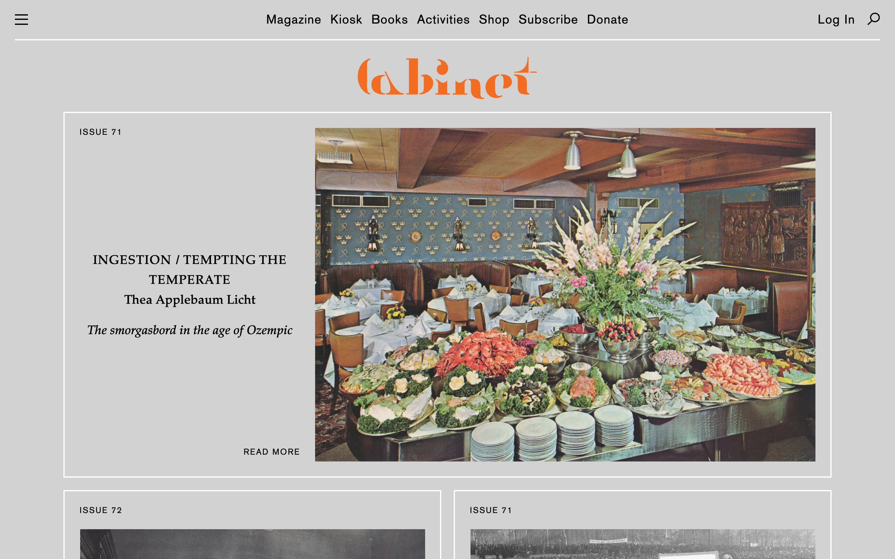 Cabinet Magazine — captured interface
