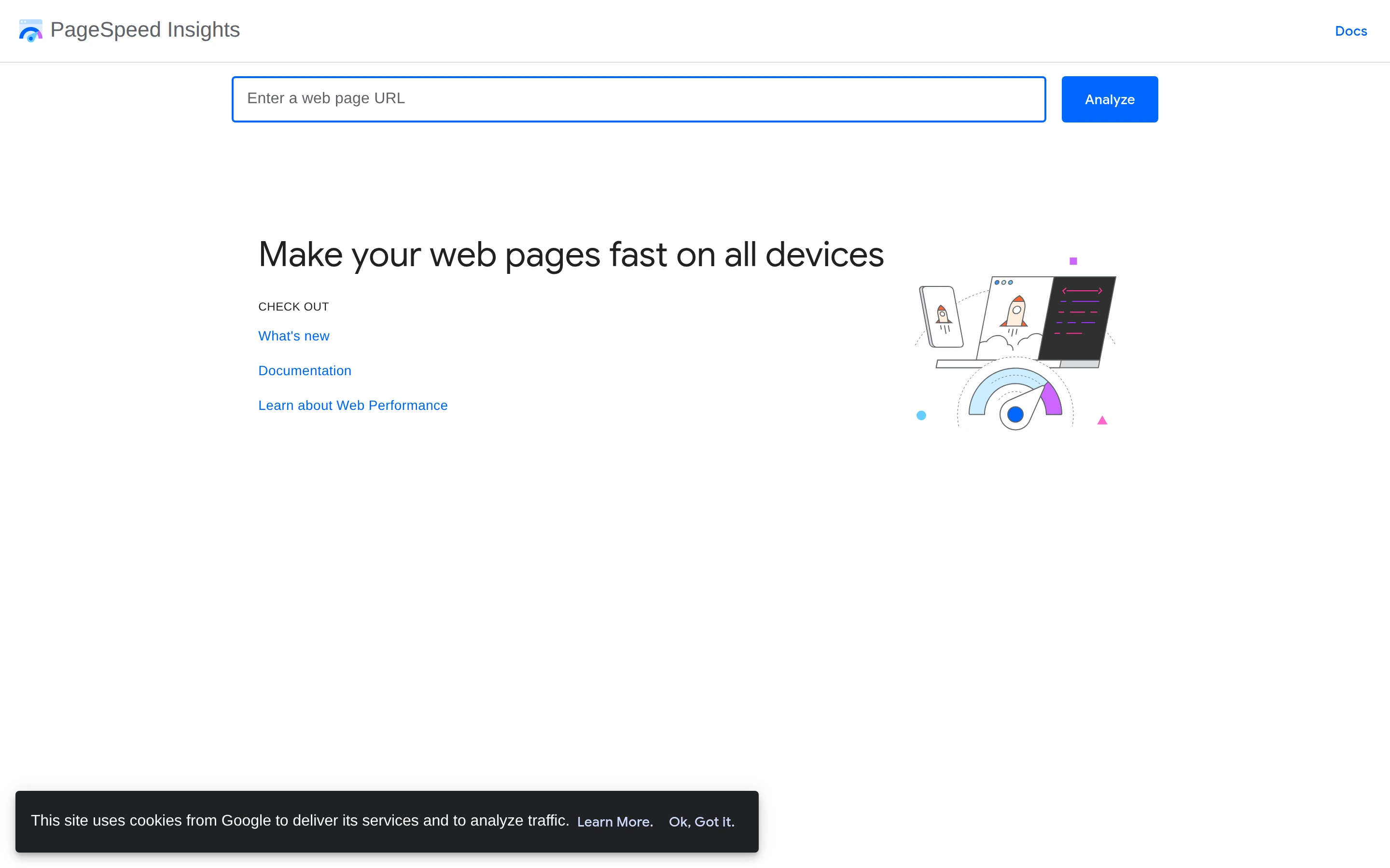 PageSpeed Insights — URL analysis — captured interface