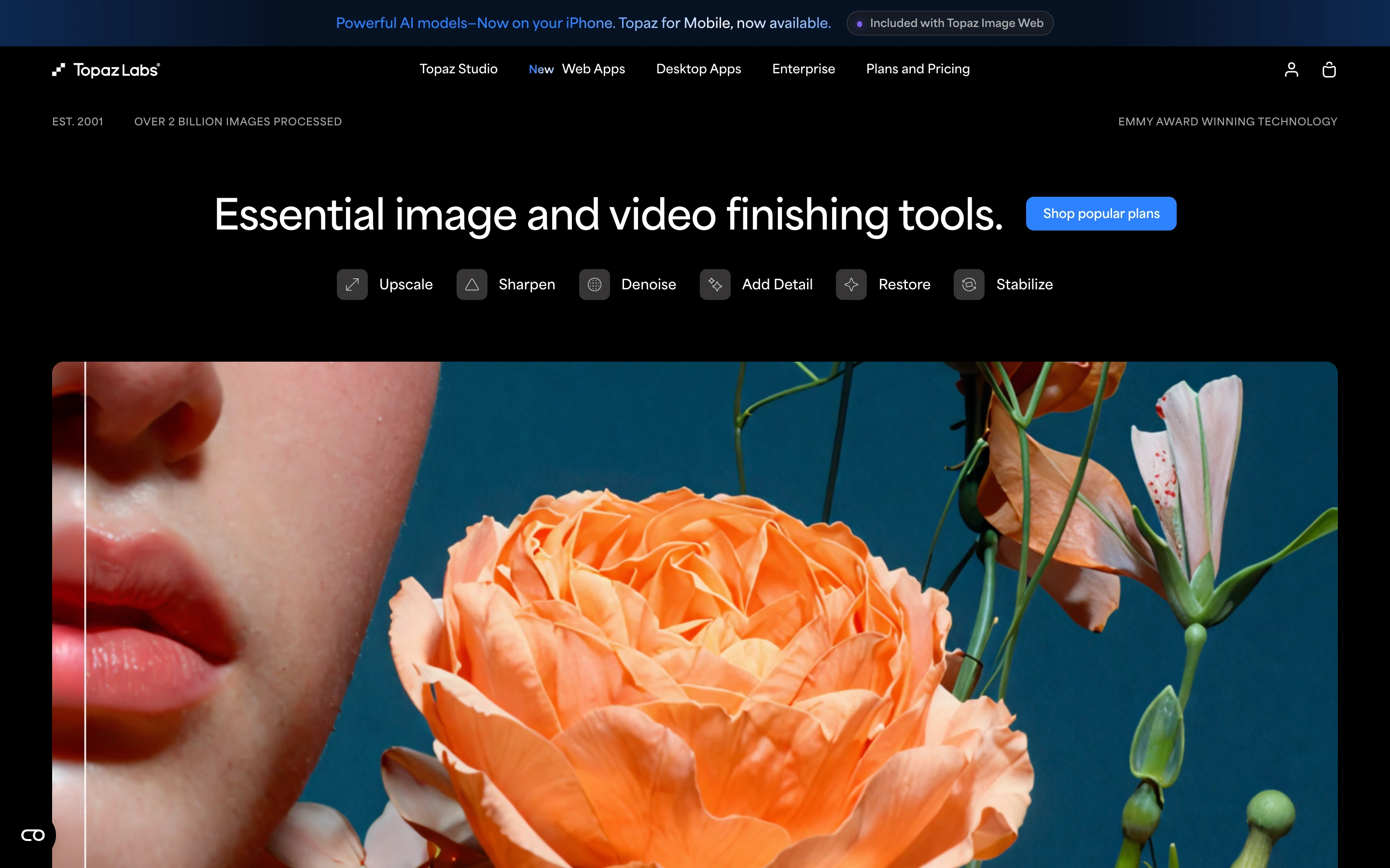 Topaz Labs — captured interface