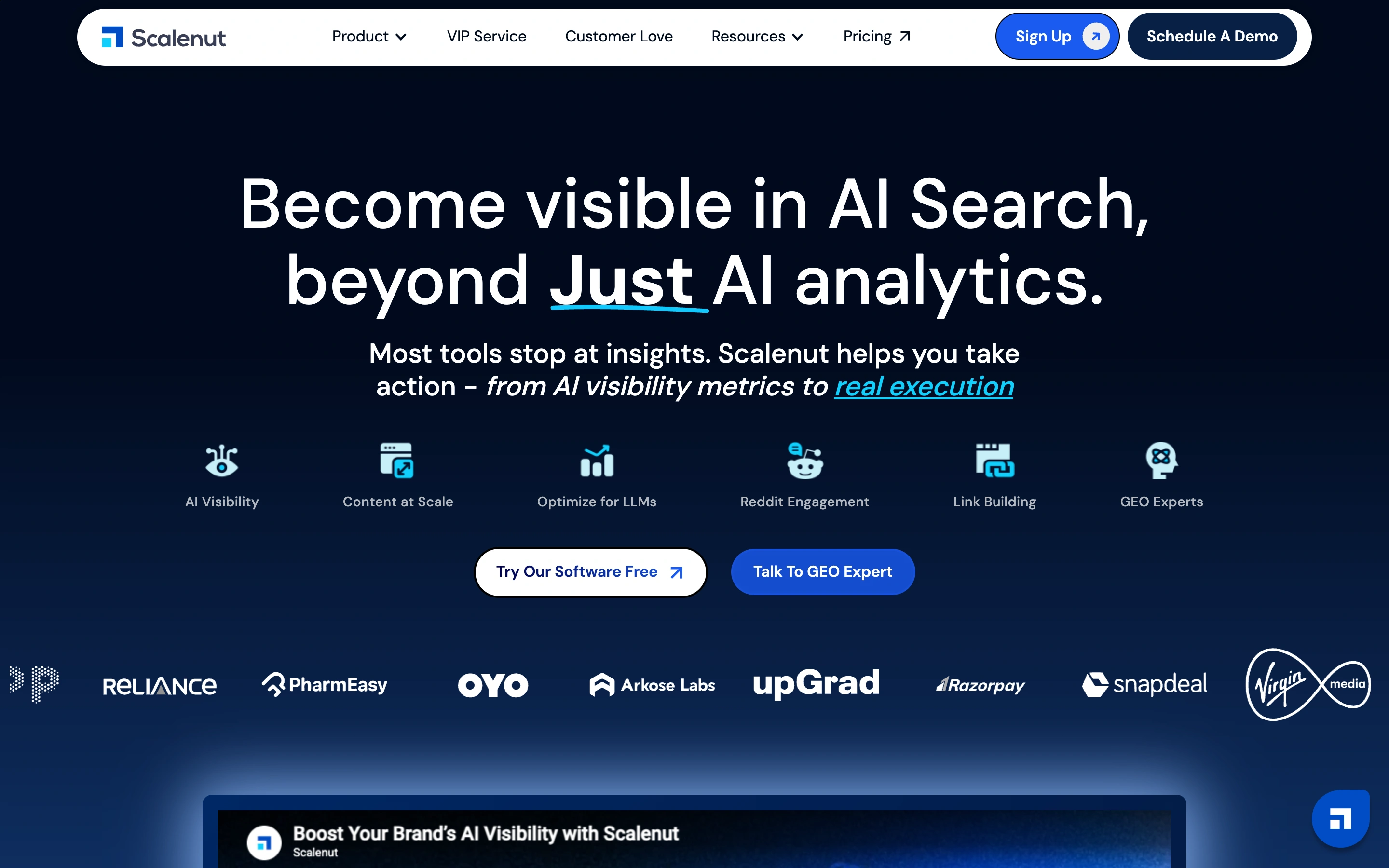 Scalenut — captured interface