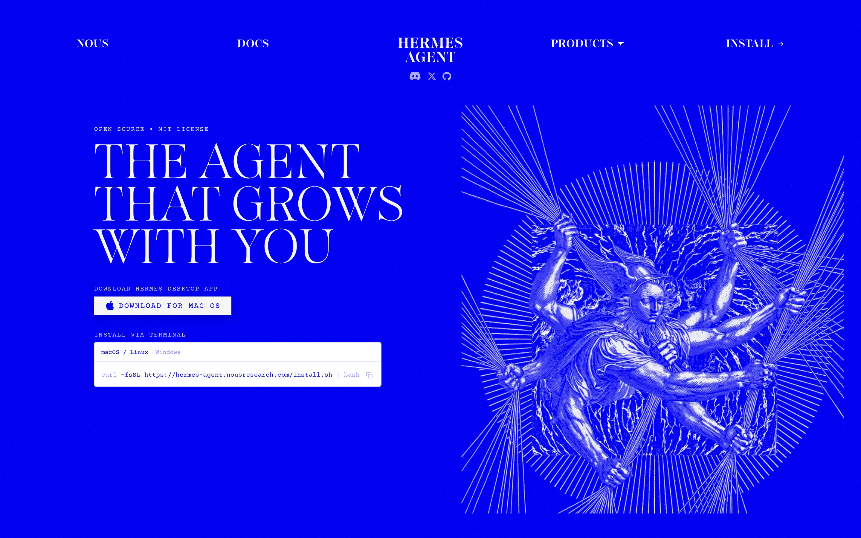 Hermes Agent — Dithered Classical — captured interface