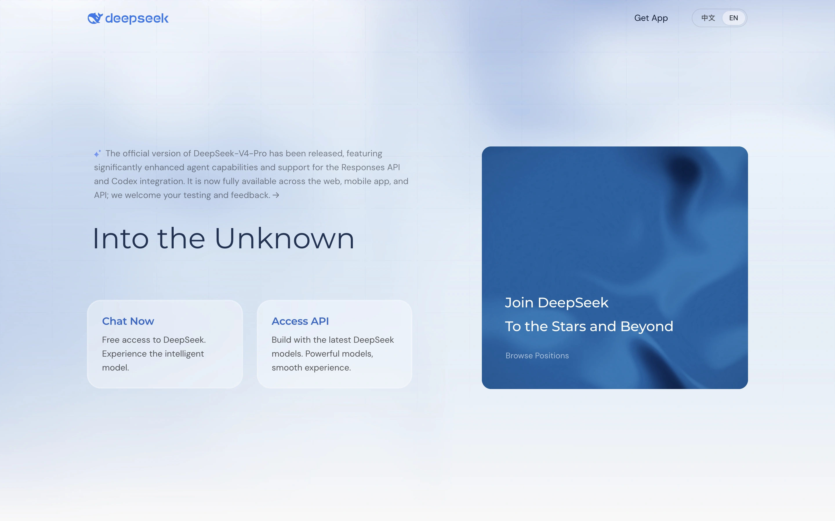 DeepSeek — captured interface