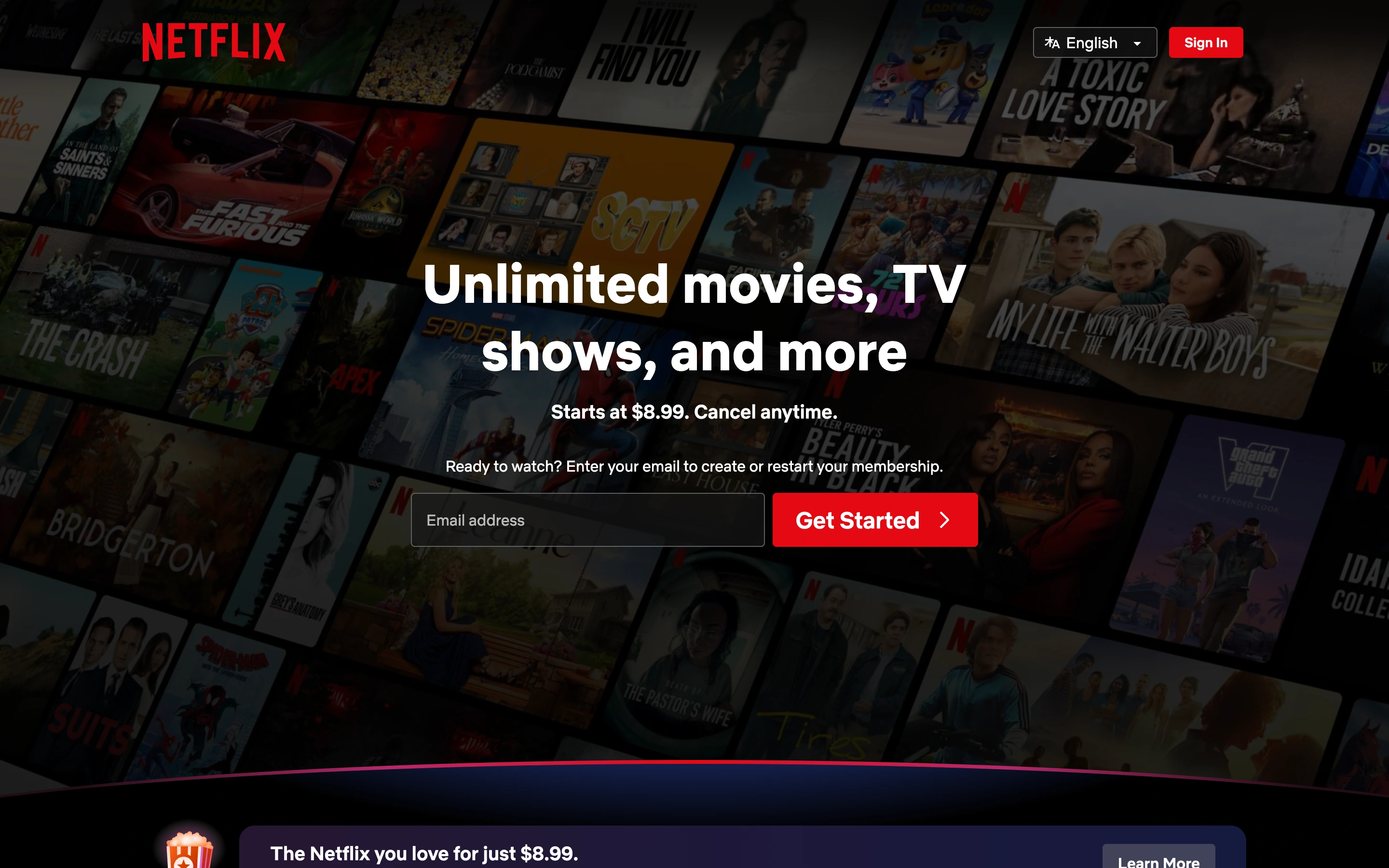 Netflix — captured interface