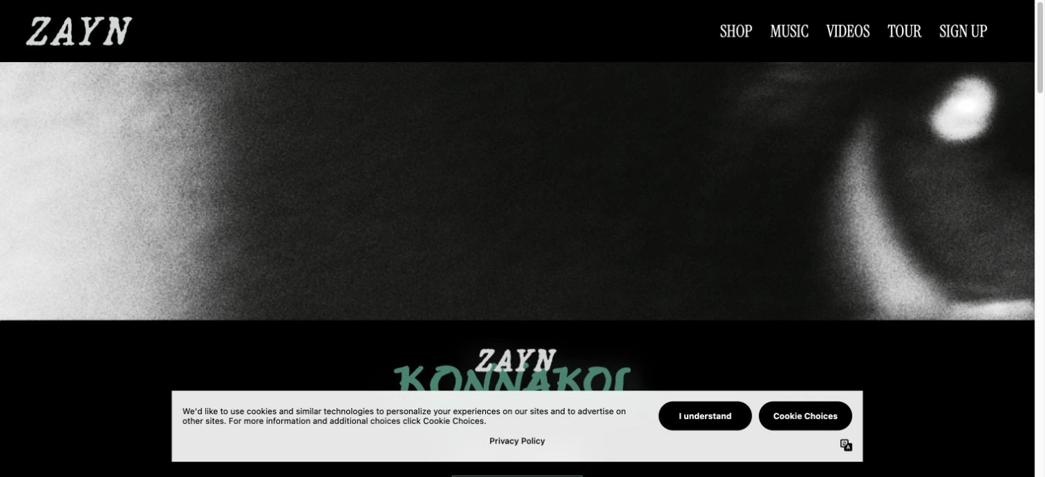 Zayn — captured interface