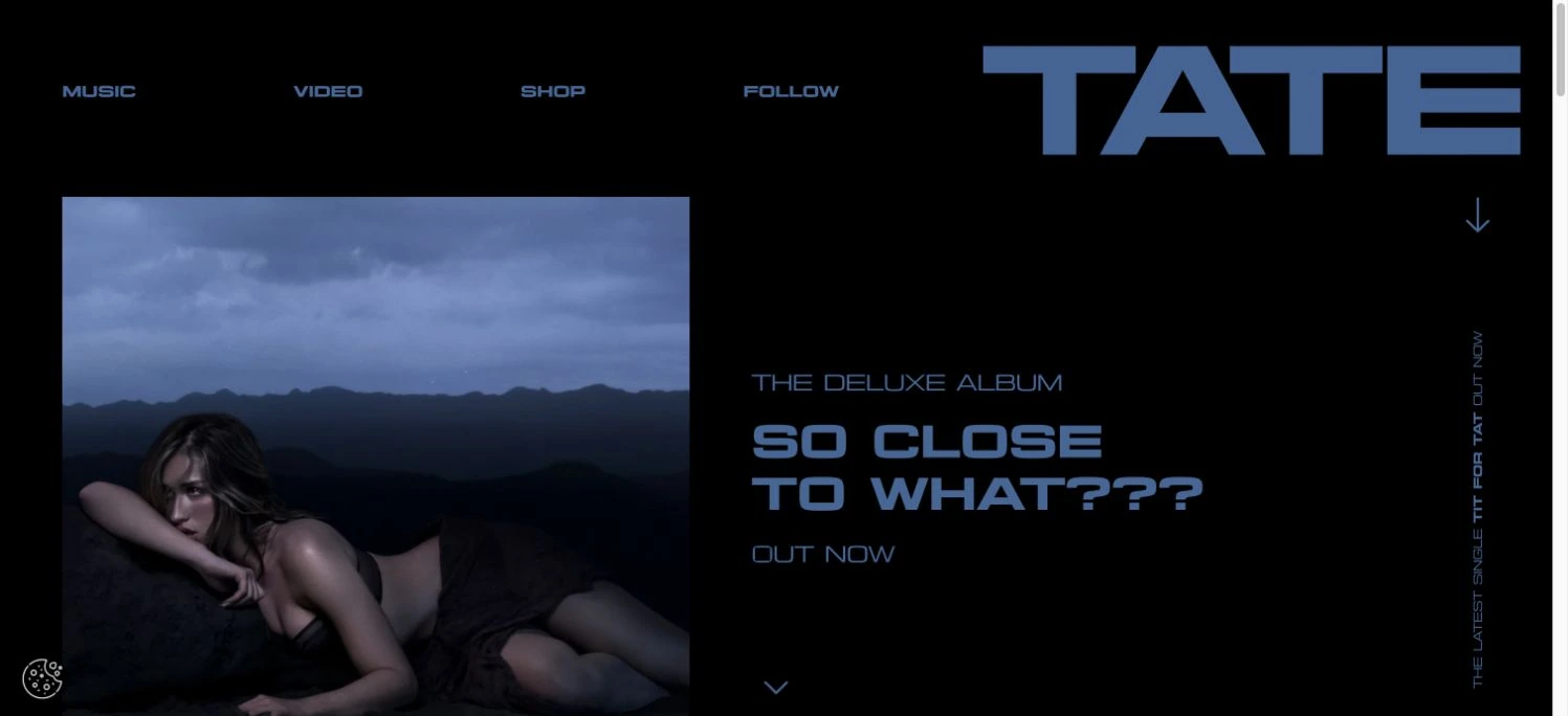 Tate McRae — captured interface