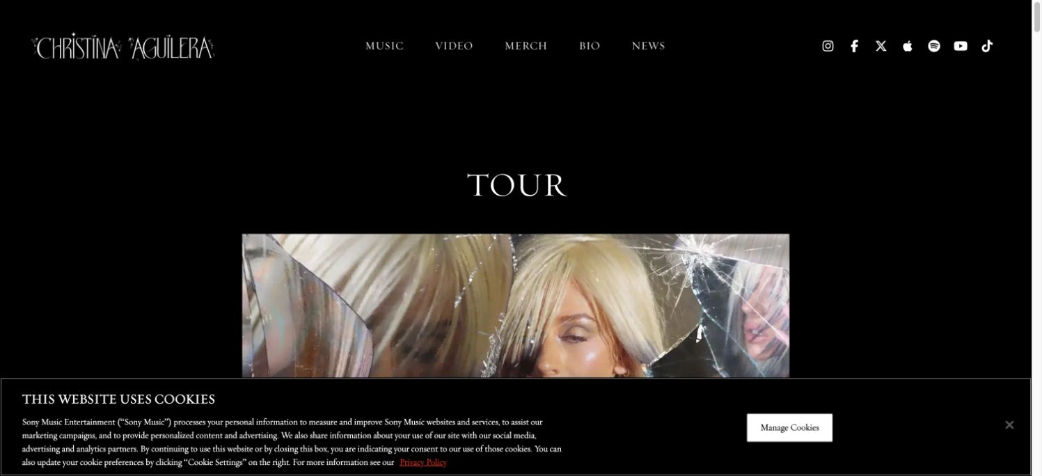 Christina Aguilera — captured interface