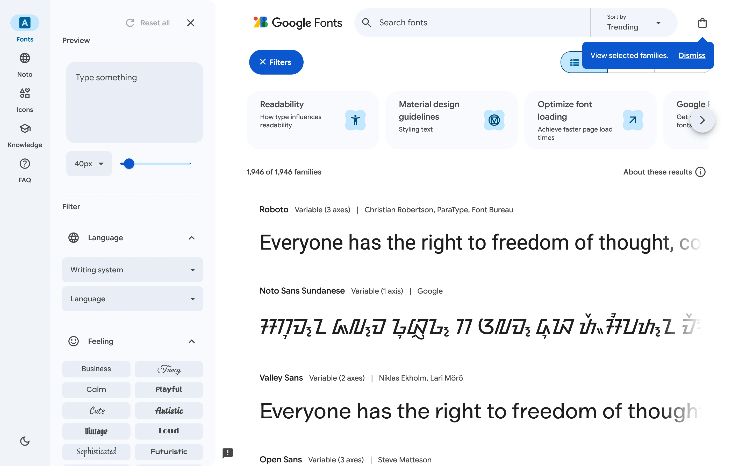 Google Fonts — captured interface