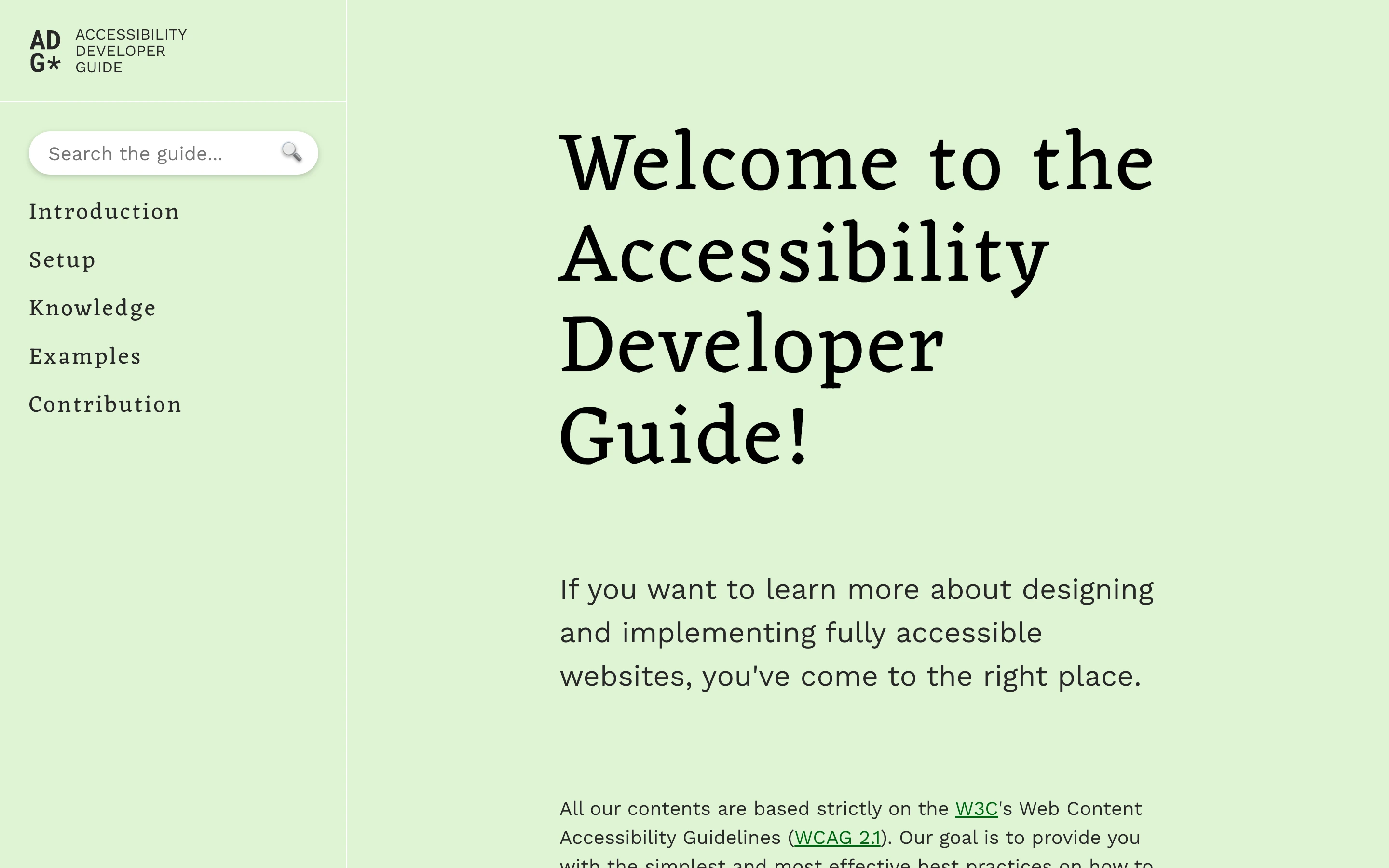 Accessibility Developer Guide — captured interface