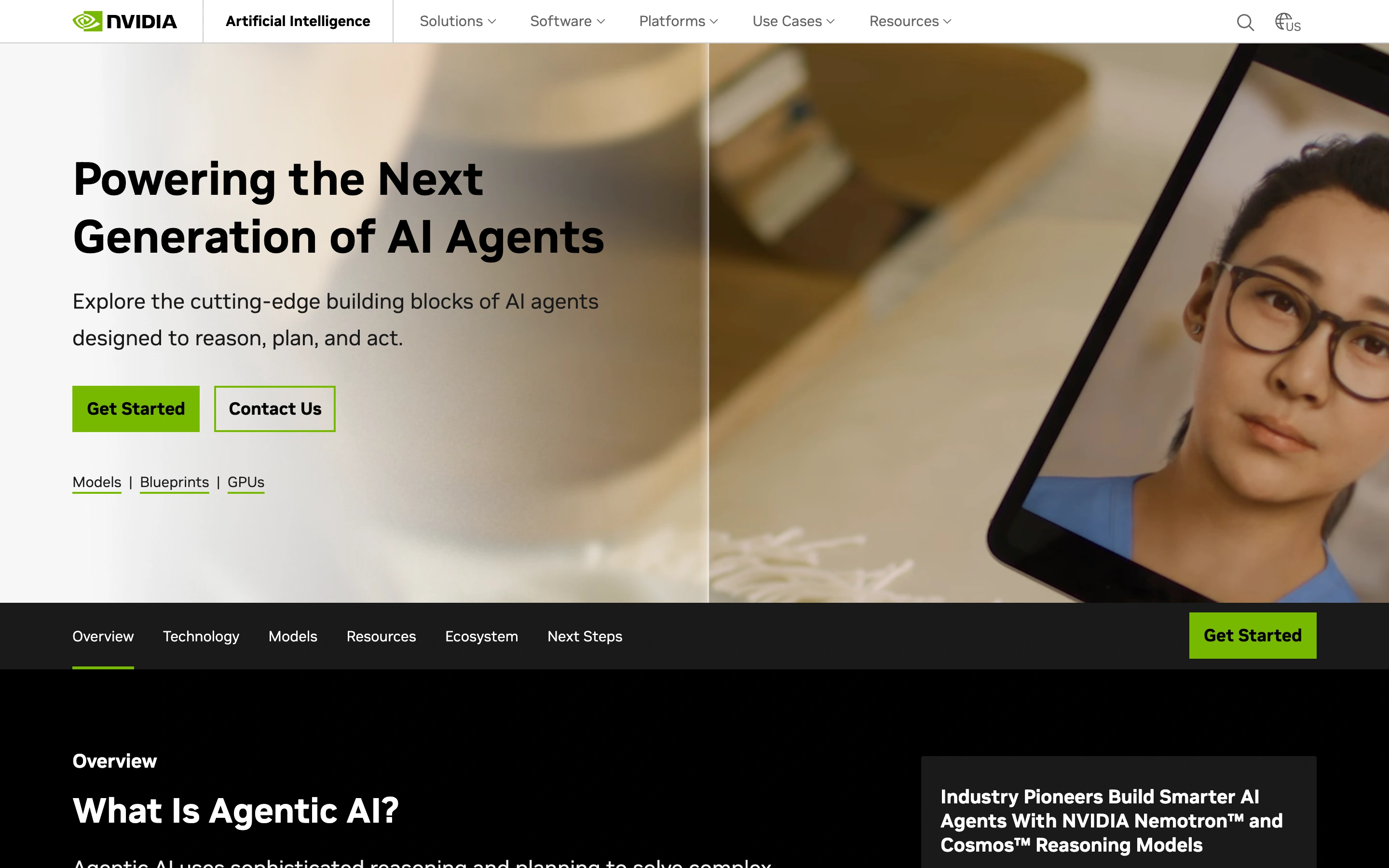NVIDIA AI — captured interface