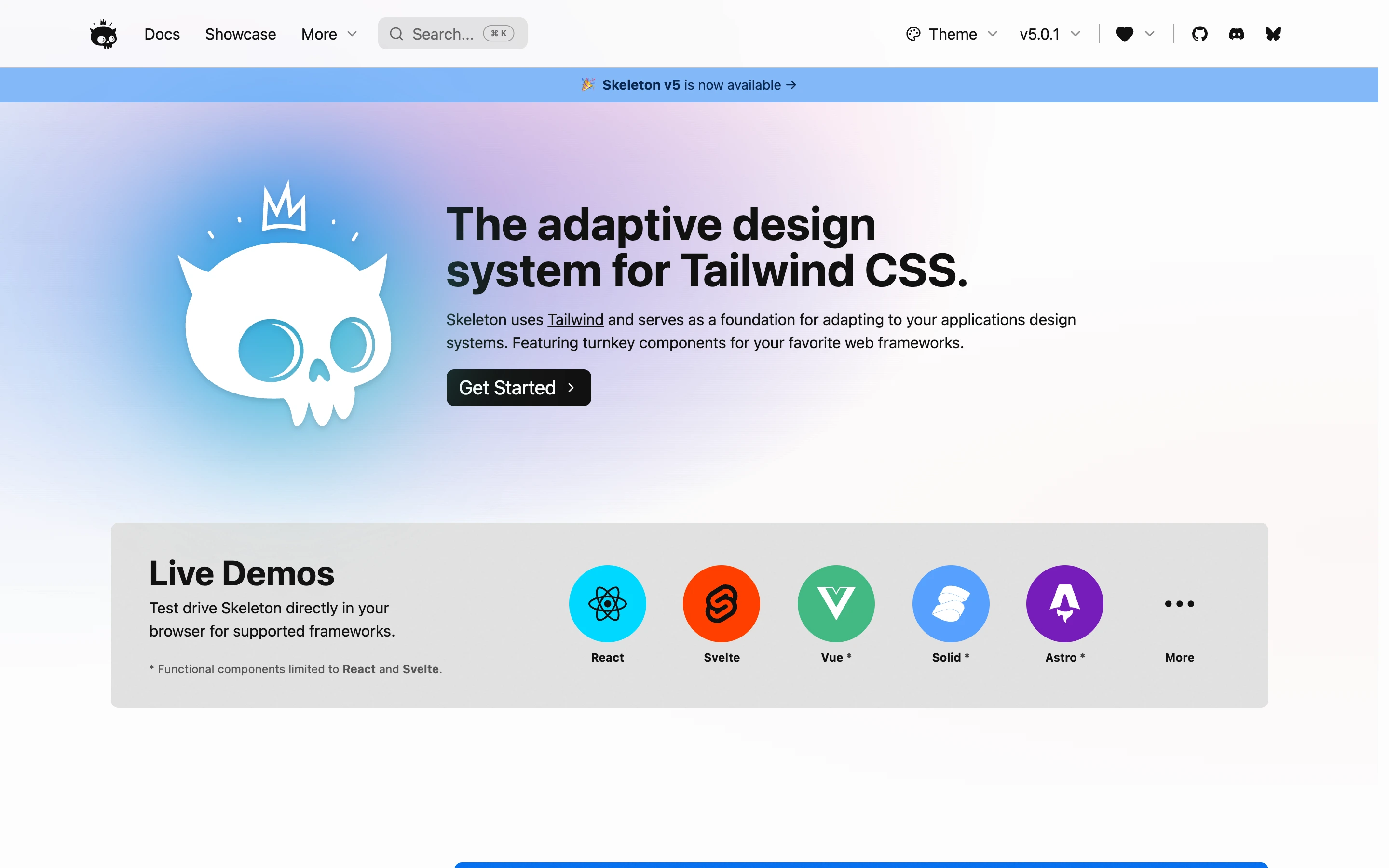 Skeleton — captured interface