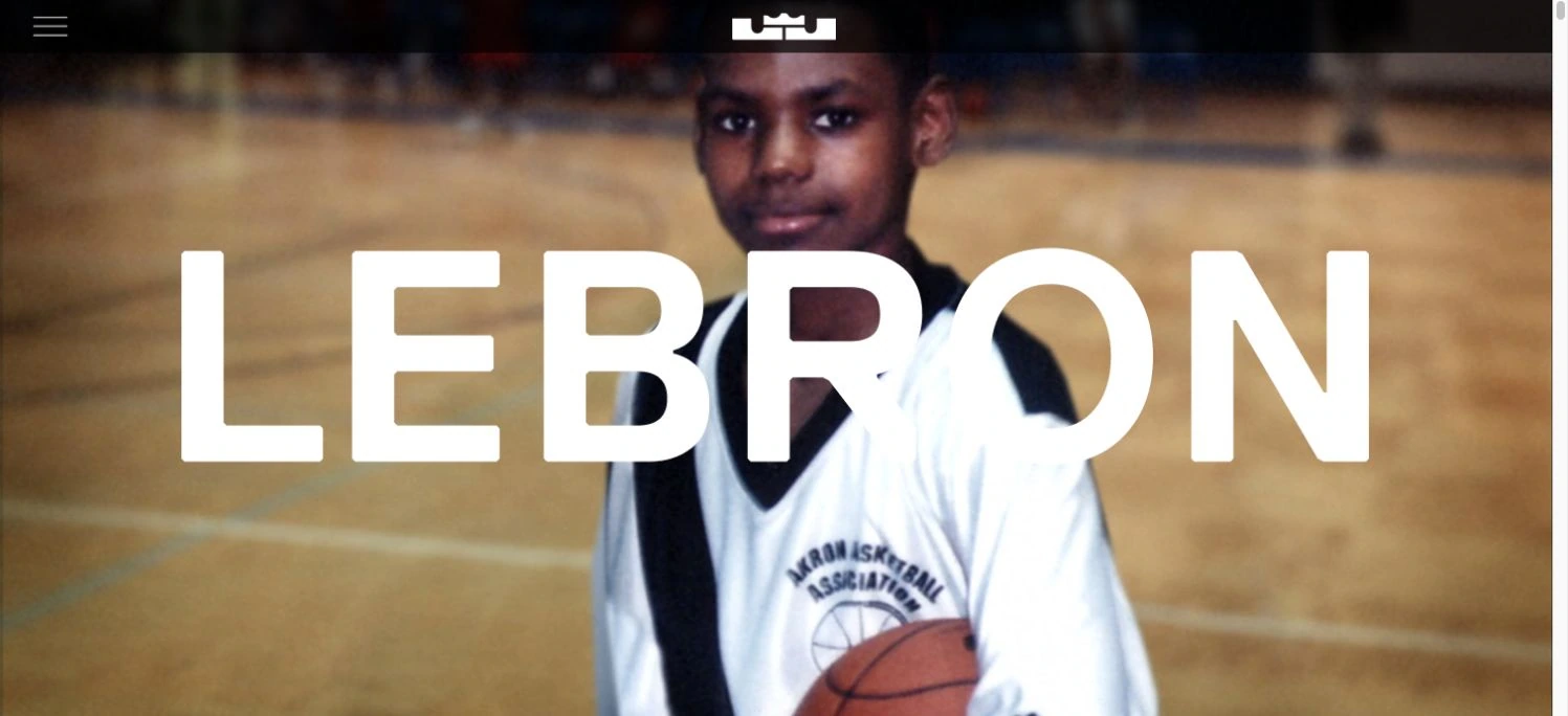 LeBron James — captured interface