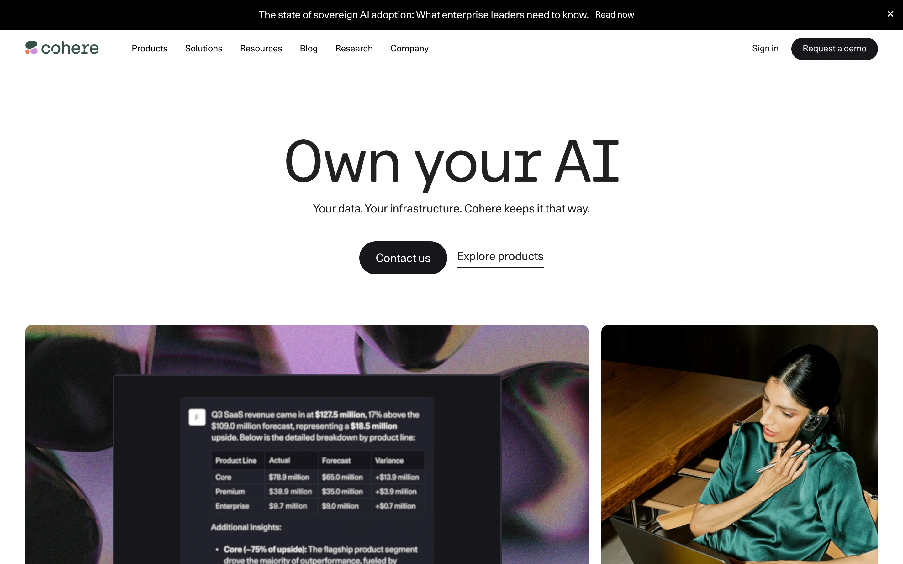 Cohere — captured interface
