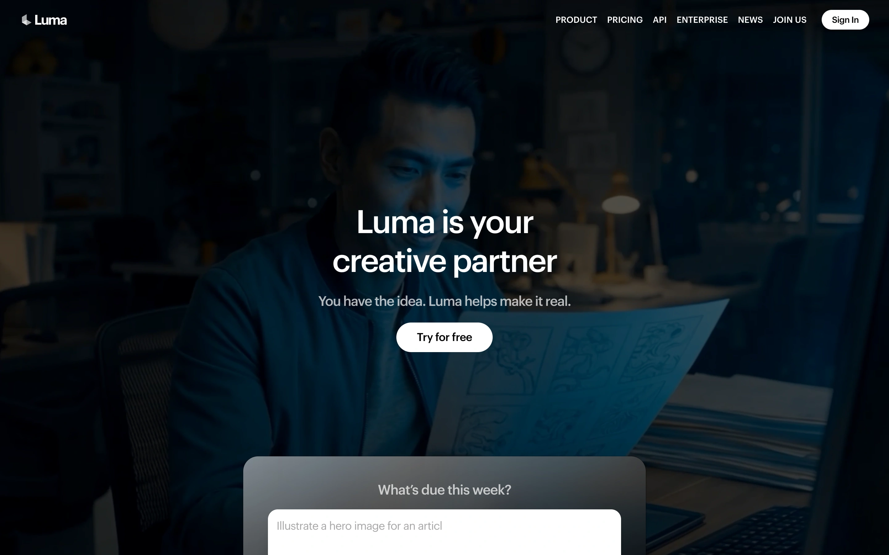 Luma — captured interface
