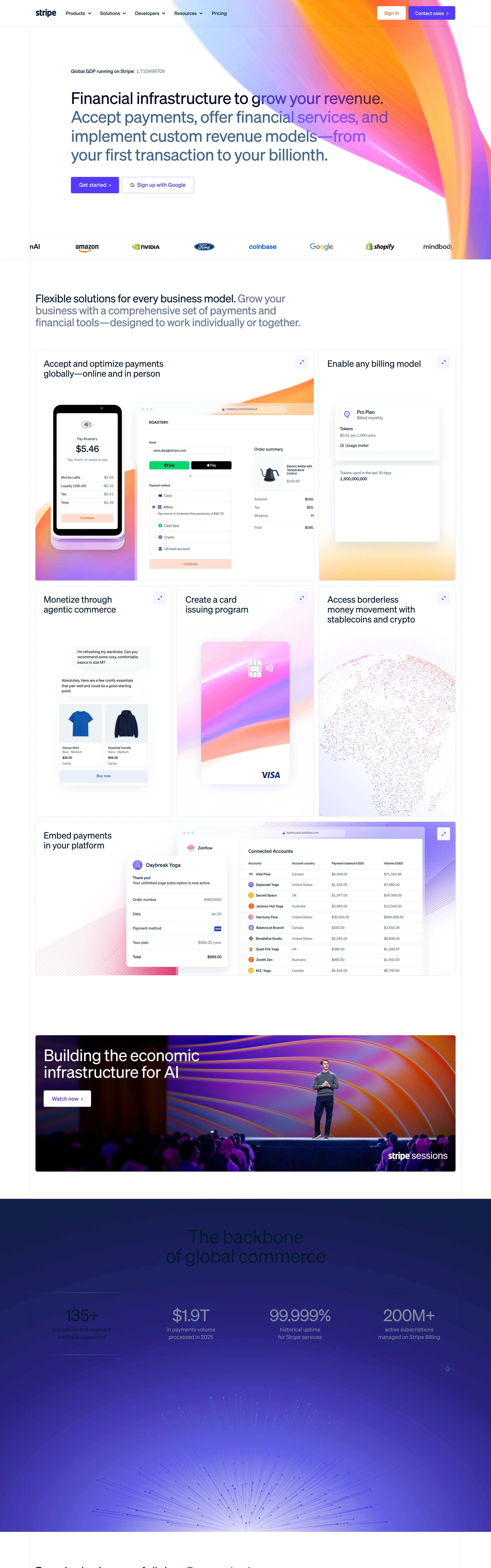 Stripe — Clean Corporate — captured interface