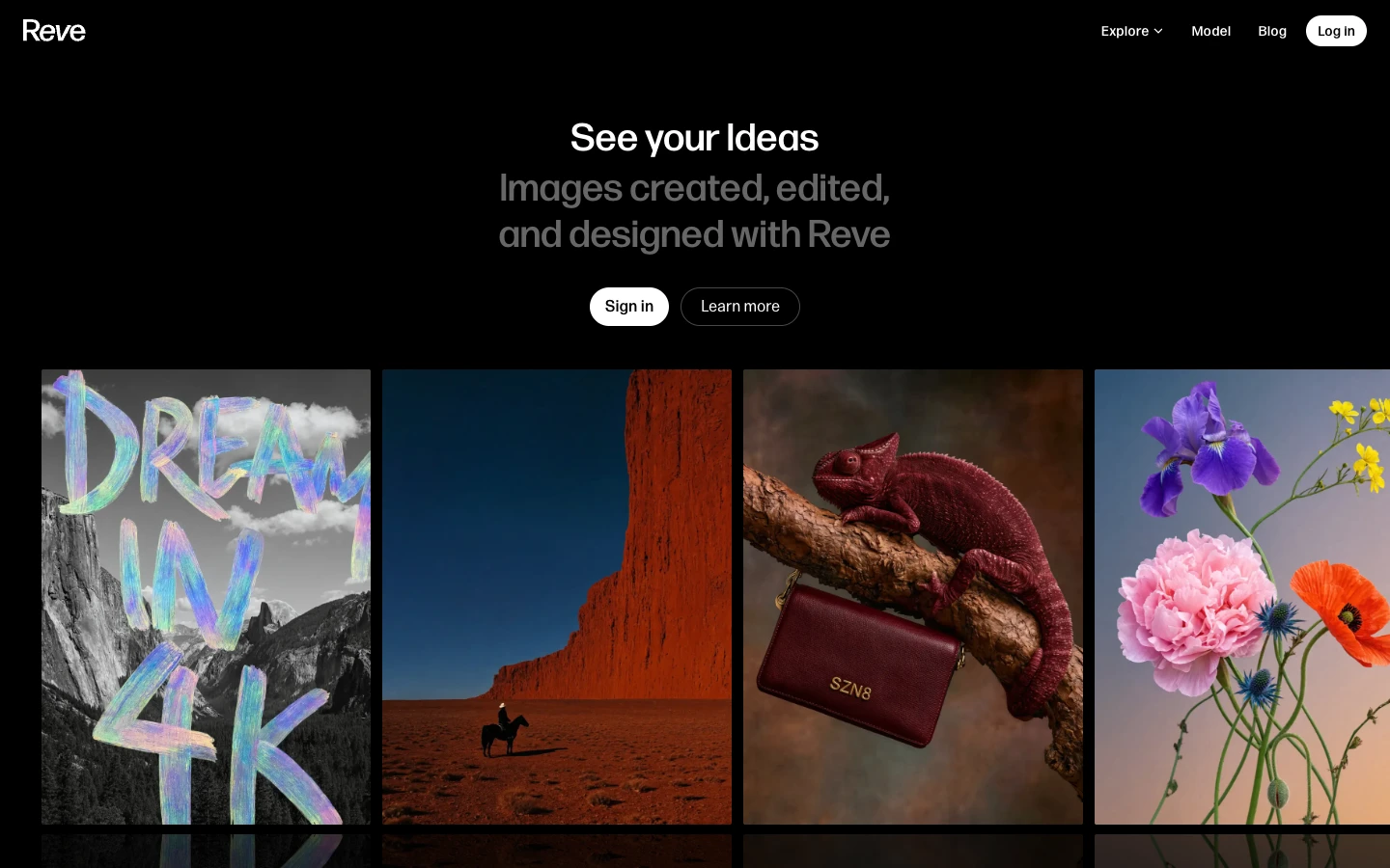 Reve — captured interface