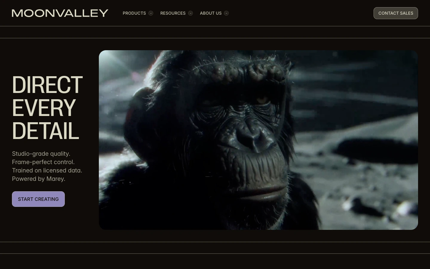 Moonvalley — captured interface