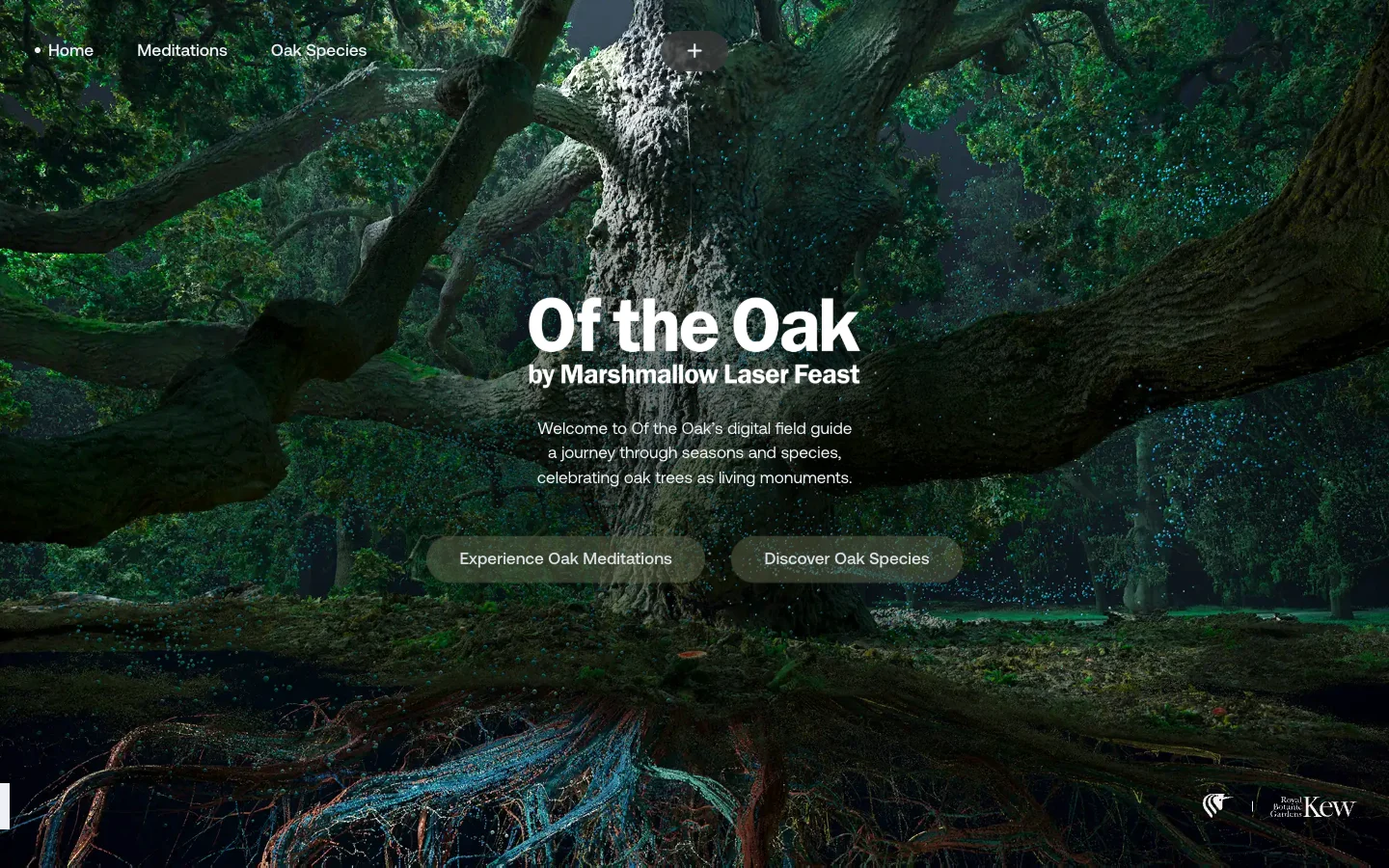 Of the Oak — captured interface